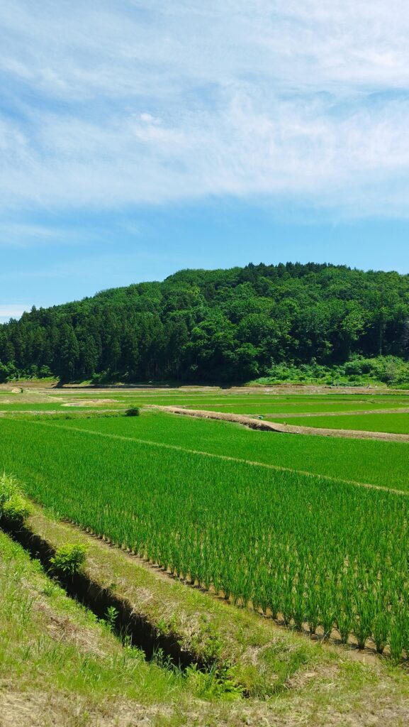 出雲崎町の田園風景